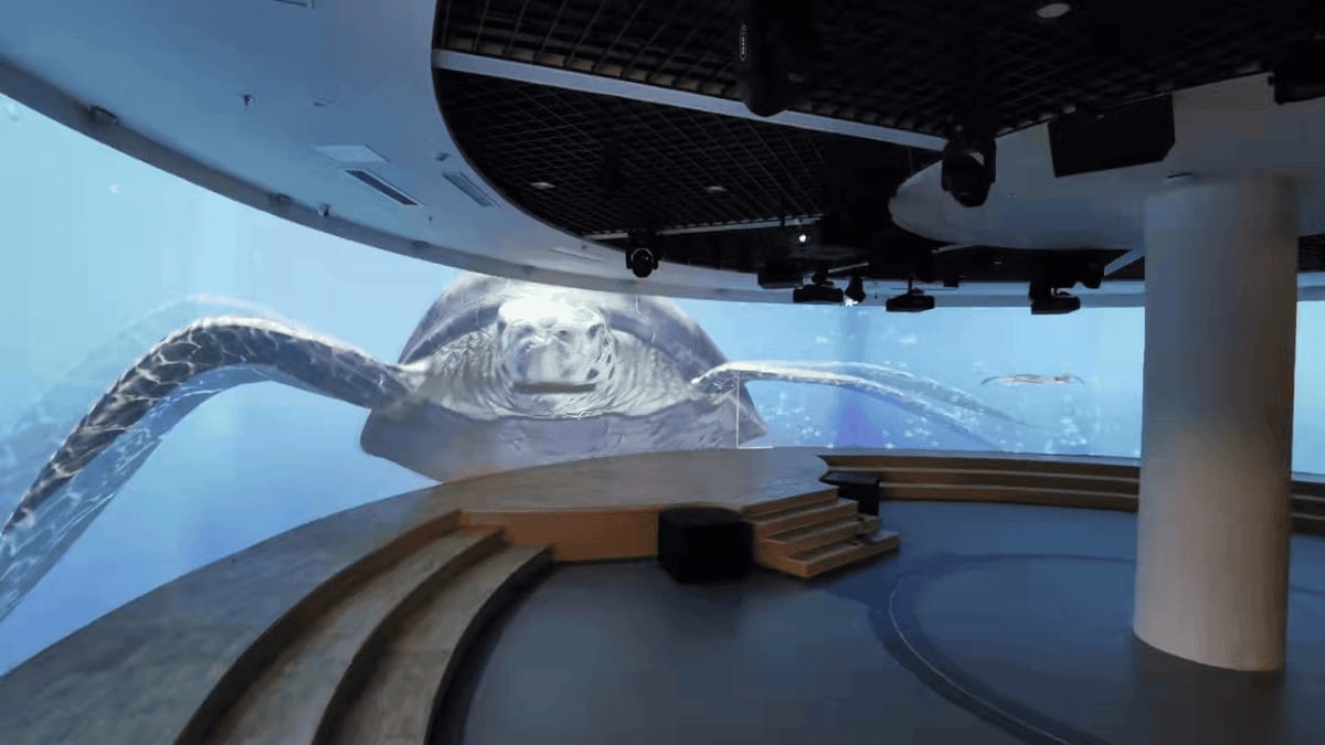 數(shù)字環(huán)幕弧幕影院-巨幕環(huán)幕影院