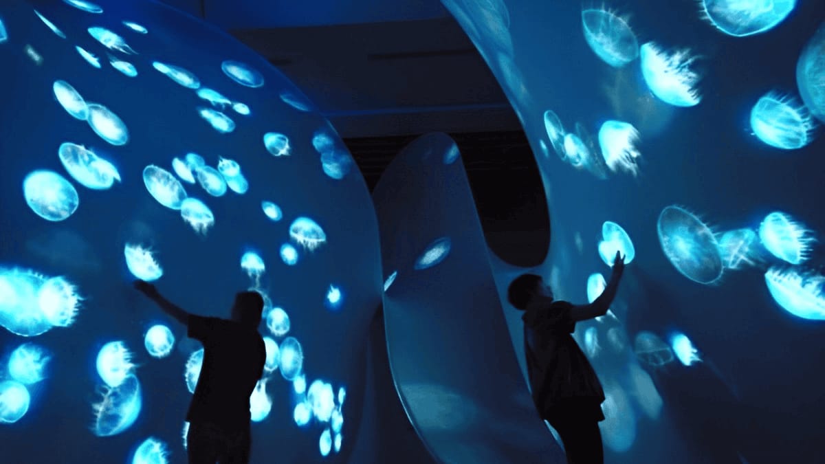 雷達(dá)互動(dòng)觸摸投影墻-墻面感應(yīng)互動(dòng)投影系統(tǒng)